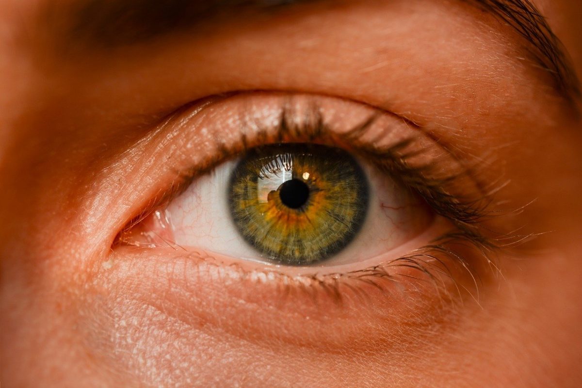 Oczy to wyrafinowany organ. To otóż to dzięki nim doświadczamy.